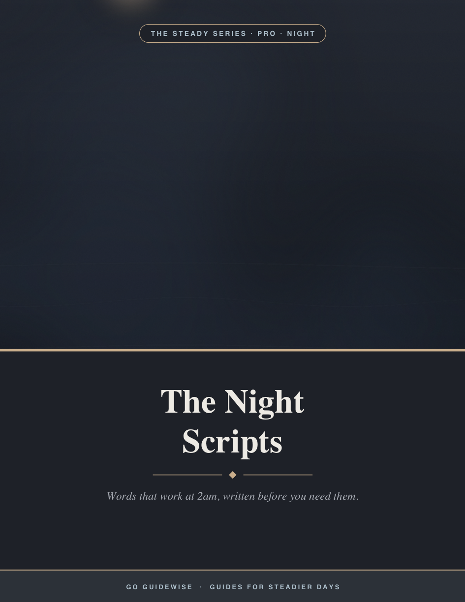 The Night Scripts cover